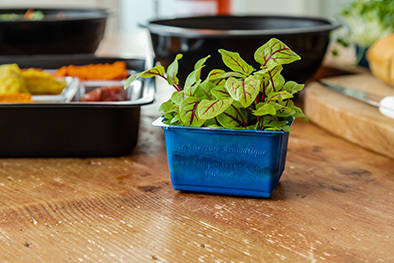 ANL Packaging trays for agriculture ANL Packaging trays for agriculture